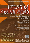 HIADS poster for Being of Sound Mind