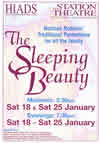 HIADS poster for Sleeping Beauty